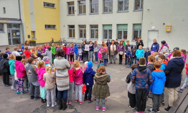 Manifest Owadów – Relacja