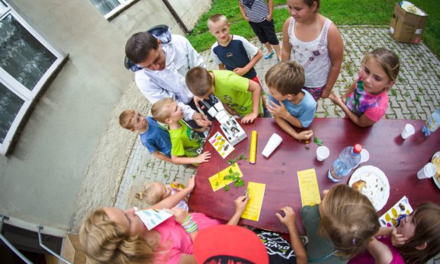 Pikniki ekologiczne