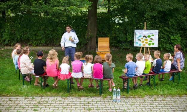 Pikniki ekologiczne