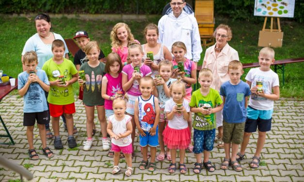 Pikniki ekologiczne