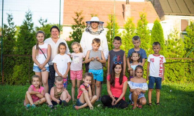 Pikniki ekologiczne