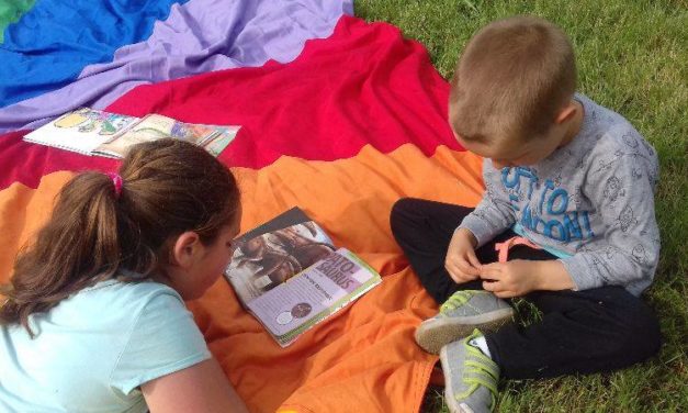 Piknik z Biblioteką