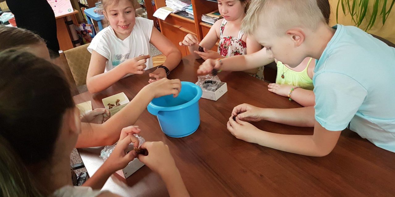 Warsztaty edukacyjne
