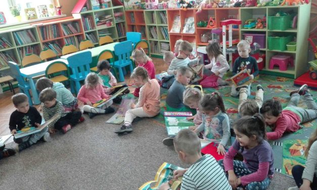 Lekcja biblioteczna w Domanicach