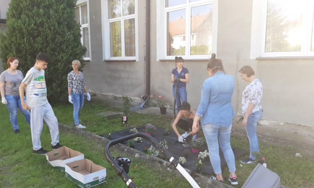 Spotkania z naturą -ogródki