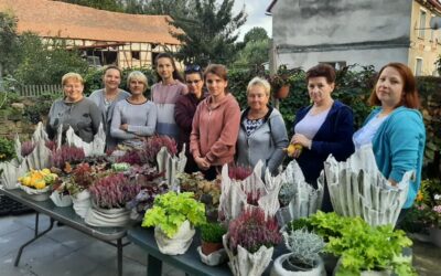 Warsztaty donice z cementu